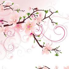  Bunga  Sakura  Enengsolihat s Blog